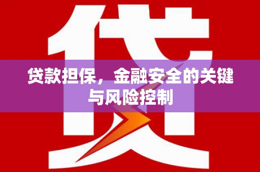 布袋贷款担保，金融安全的关键与风险控制