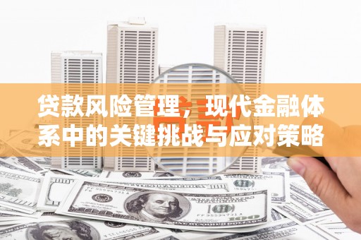 布袋贷款风险管理，现代金融体系中的关键挑战与应对策略