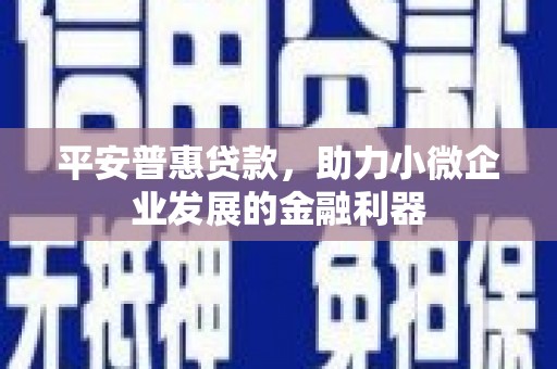 布袋平安普惠贷款，助力小微企业发展的金融利器