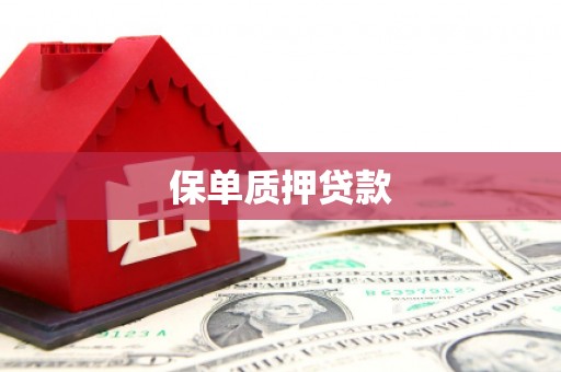 布袋保单质押贷款