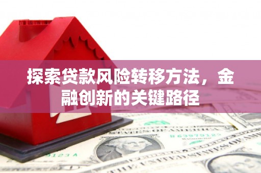 布袋探索贷款风险转移方法，金融创新的关键路径