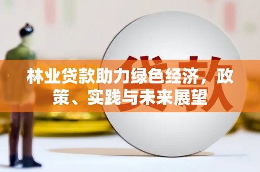 布袋林业贷款助力绿色经济，政策、实践与未来展望