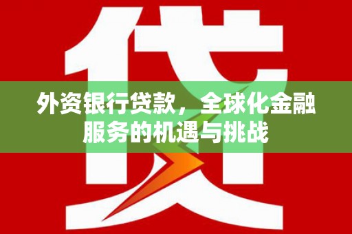 布袋外资银行贷款，全球化金融服务的机遇与挑战