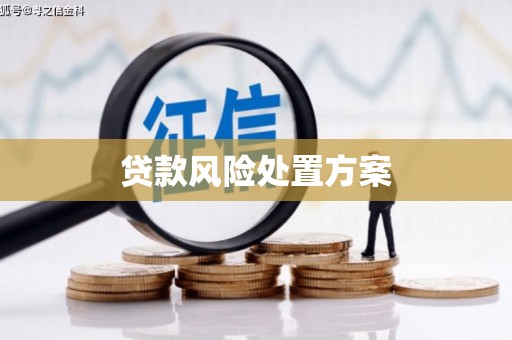 布袋贷款风险处置方案