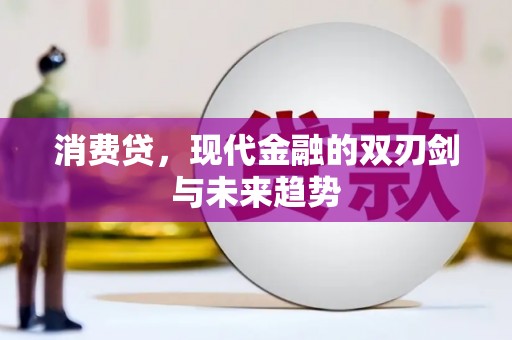 布袋消费贷，现代金融的双刃剑与未来趋势