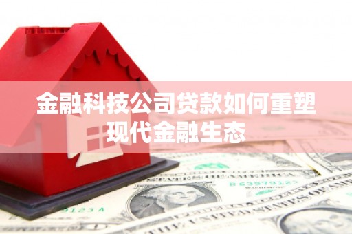 布袋金融科技公司贷款如何重塑现代金融生态
