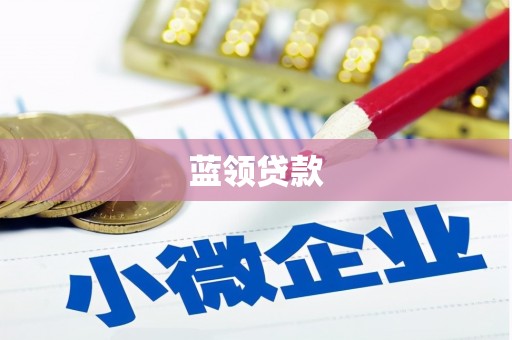 布袋蓝领贷款