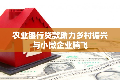 布袋农业银行贷款助力乡村振兴与小微企业腾飞
