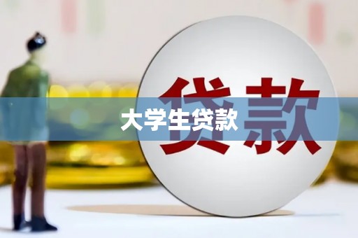 布袋大学生贷款