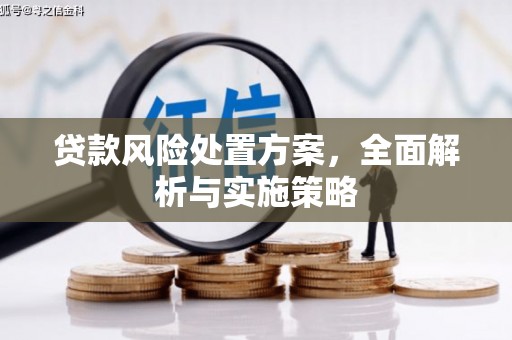 布袋贷款风险处置方案，全面解析与实施策略