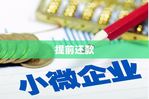 布袋提前还款