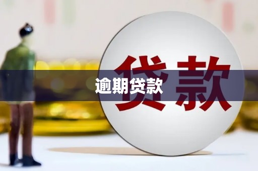 布袋逾期贷款