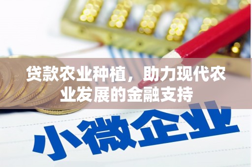 布袋贷款农业种植，助力现代农业发展的金融支持