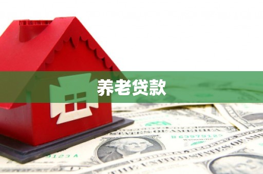 布袋养老贷款