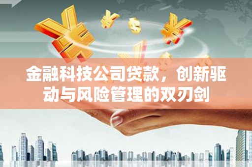 布袋金融科技公司贷款，创新驱动与风险管理的双刃剑