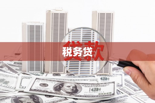 布袋税务贷